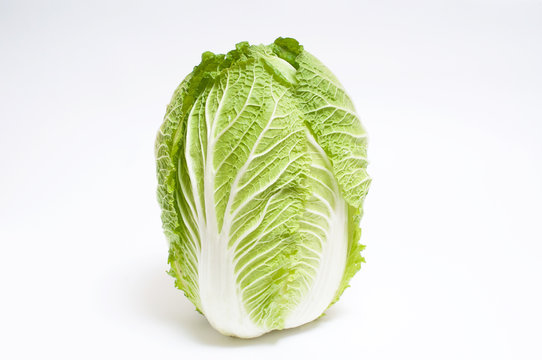 白菜