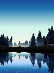 Fototapeta premium pine wood near lake at noon