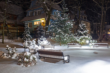 Snowy park in Zakopane at night, Poland © Patryk Kosmider