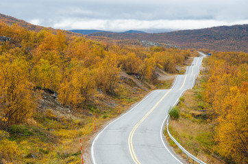 Empty road with low vegetation on the side in the Norwegian countryside