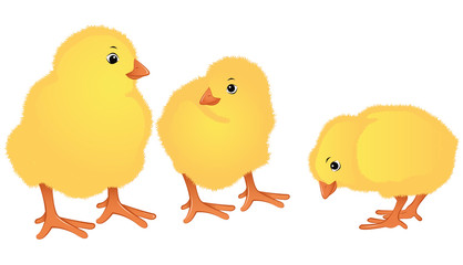 Cute Easter chicks