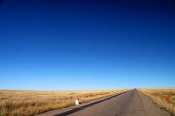 Road through empty grassland