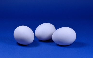 Eier Freisteller