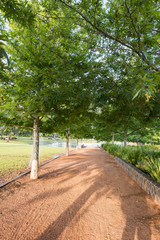 Beautiful australian landscape with trees in foreground and a lake in background. The beautiful place for wedding ceremony.