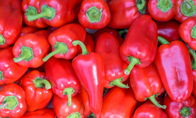Group of fresh harvested red pepper, close up