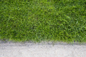 green grass and sand