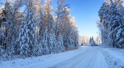 Obraz premium панорама заснеженного леса, с дорогой ведущей к домику, Россия, Урал