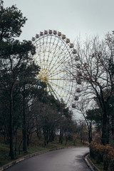 Fototapete bei efototapeten.de bestellen   