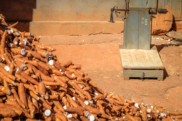 Pile of manioc for sale