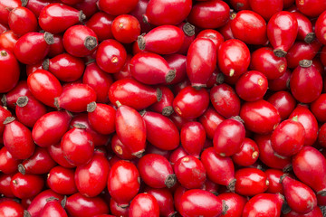 fresh rose hips