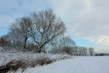 Fototapeta na wymiar Elblandschaft im Winter.4
