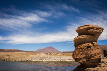 rocks in salt flat