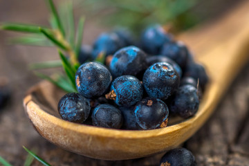 Juniper berries on old wooden table