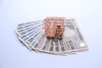 japanese money