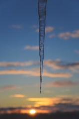 Obraz premium Icicle
