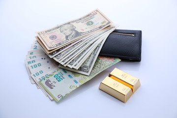 gold bullion and argentine money