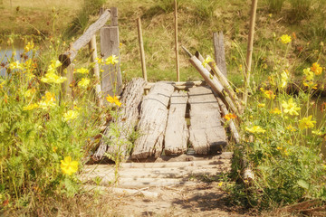 Wooden bridge with yellow flowers planted on the side.