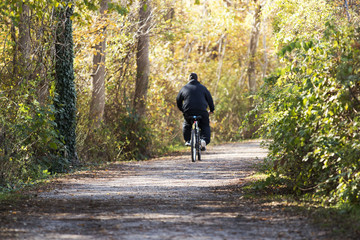 Sunlight on a man riding his bike in the woods