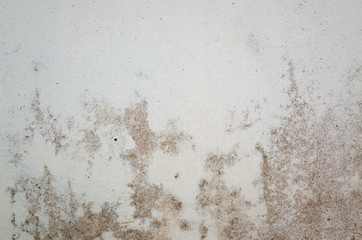 grunge cement wall