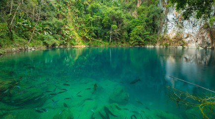 Lom Phu Kiew pond is located in Ngao district of Lampang province, Thailand which has emerald color water and many type of healthy fish.