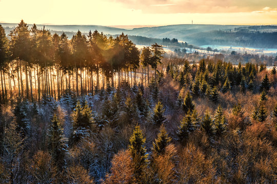 Winter Forest Landscape from above, Germany