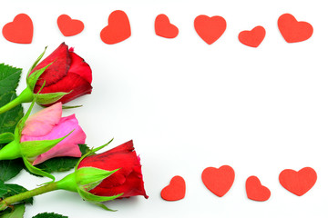 Valentinstag Motiv - Rosen und rote Herzen mit weißem Hintergrund und Textfreiraum