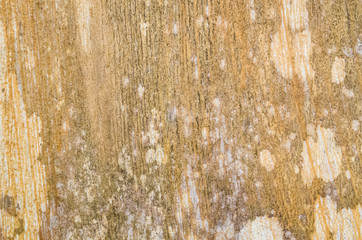 aged wooden texture