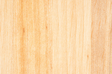 Tree texture. Timber light natural pattern. Wood grain background.