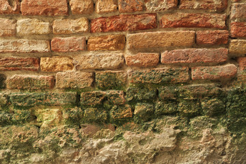 Texture Venezia muro mattoni cemento antico intonaco