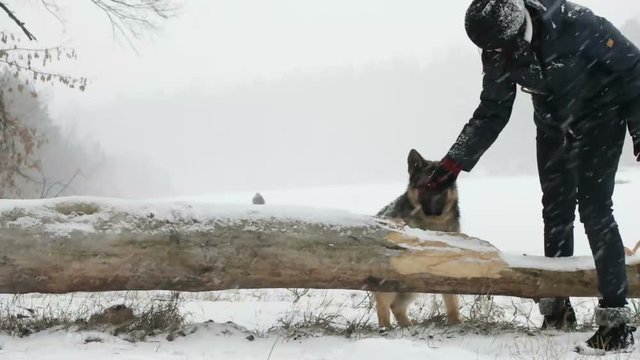 dog training, slow motion