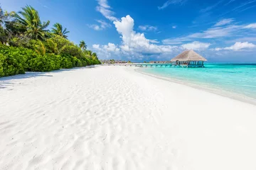 Küchenrückwand glas motiv Tropischer Strand Breiter Sandstrand auf einer tropischen Insel auf den Malediven. Palmen und Wasser