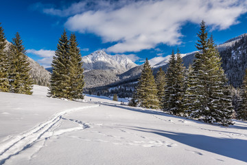 Fototapeta na wymiar Chocholowska Valley in sunny day in winter, Tatra Mountains