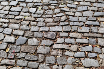 Close-up of a section of an old cobblestone street. Horizontal.