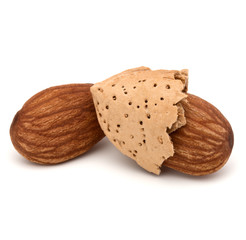 Almond nut in shell and shelled isolated on white background clo
