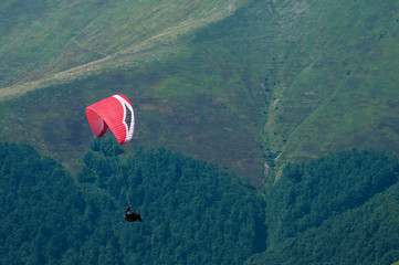 Paraglider flies paraglider over the tops of the mountains in summer sunny day. Karpaty, Ukraine.