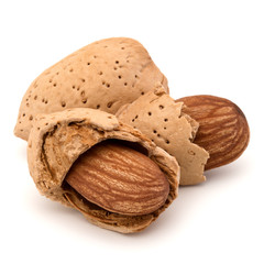 Almond nut in shell and shelled isolated on white background clo
