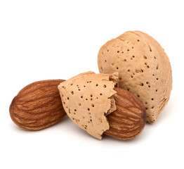 Almond nut in shell and shelled isolated on white background clo