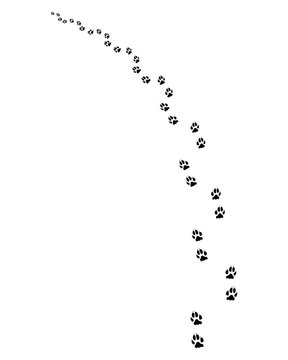 Black footprints of dogs, turn left