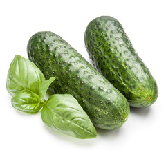 Cucumber vegetable and basil leaves isolated on white background