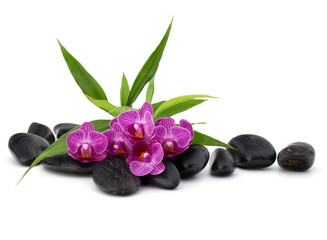 Zen pebbles and orchid flower. Stone spa and healthcare concept.