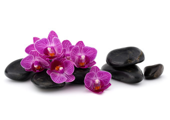 Naklejka na ściany i meble Zen pebbles and orchid flower. Stone spa and healthcare concept.