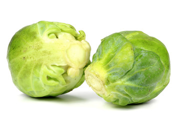 Rosenkohl isoliert auf weißem Hintergrund