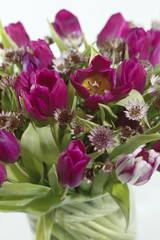 Obraz premium tulips in vase
