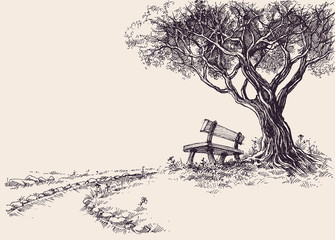 Park sketch. A wooden bench under the tree - obrazy, fototapety, plakaty