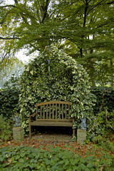 ivy growing around garden bench