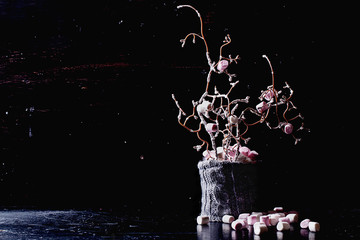 Obraz na płótnie Canvas Marshmallow Tree
