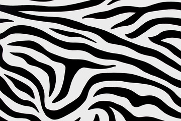 the texture of the countertops Zebra