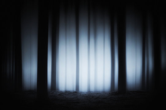 Fototapeta dark and scary forest