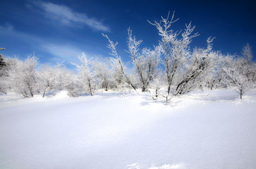 Background of winter
