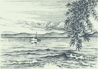 Fototapety  Calm sea view etching, an olive tree on shore